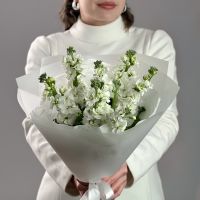 Букет из белоснежной маттиолы