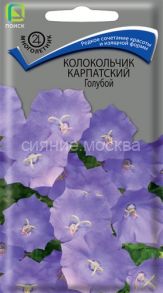 Колокольчик Голубой карпатский (Поиск)