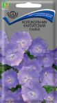Колокольчик Голубой карпатский (Поиск)