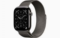 Часы Apple Watch Series 11 GPS + Cellular 46mm Slate Titanium Case with Slate Milanese Loop M/L