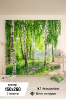 Фотошторы 10839 [зеленый]