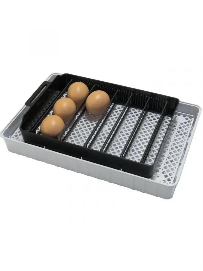 Инкубатор HHD EW9-12 на 12 яиц, автоматический переворот