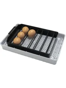 Инкубатор HHD EW9-12 на 12 яиц, автоматический переворот