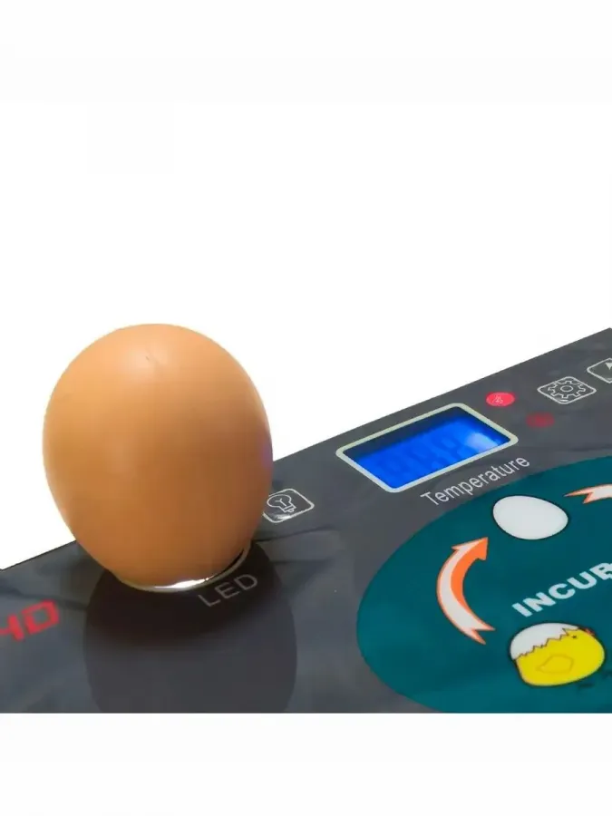 Инкубатор HHD EW9-12 на 12 яиц, автоматический переворот