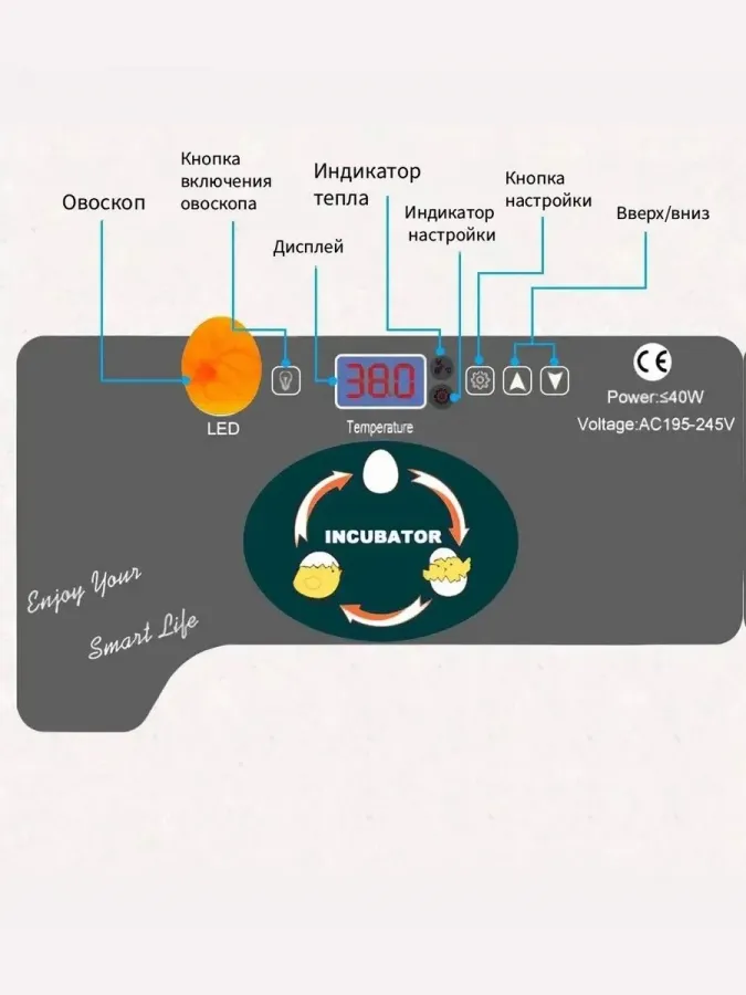 Инкубатор HHD EW9-12 на 12 яиц, автоматический переворот