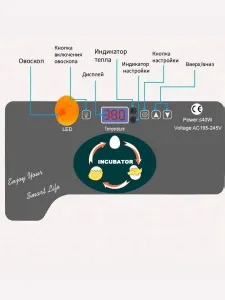 Инкубатор HHD EW9-12 на 12 яиц, автоматический переворот