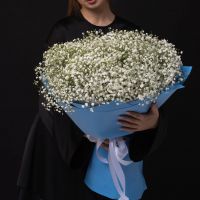 Белая гипсофила в оформлении (от 11 шт)