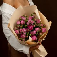 Кустовая роза фиолетовая 5 шт