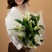 Лилия 3 шт в матовой упаковке