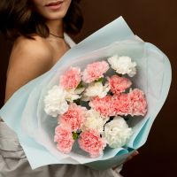 Диантусы микс 15 шт