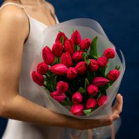 Тюльпаны розовые 25 шт