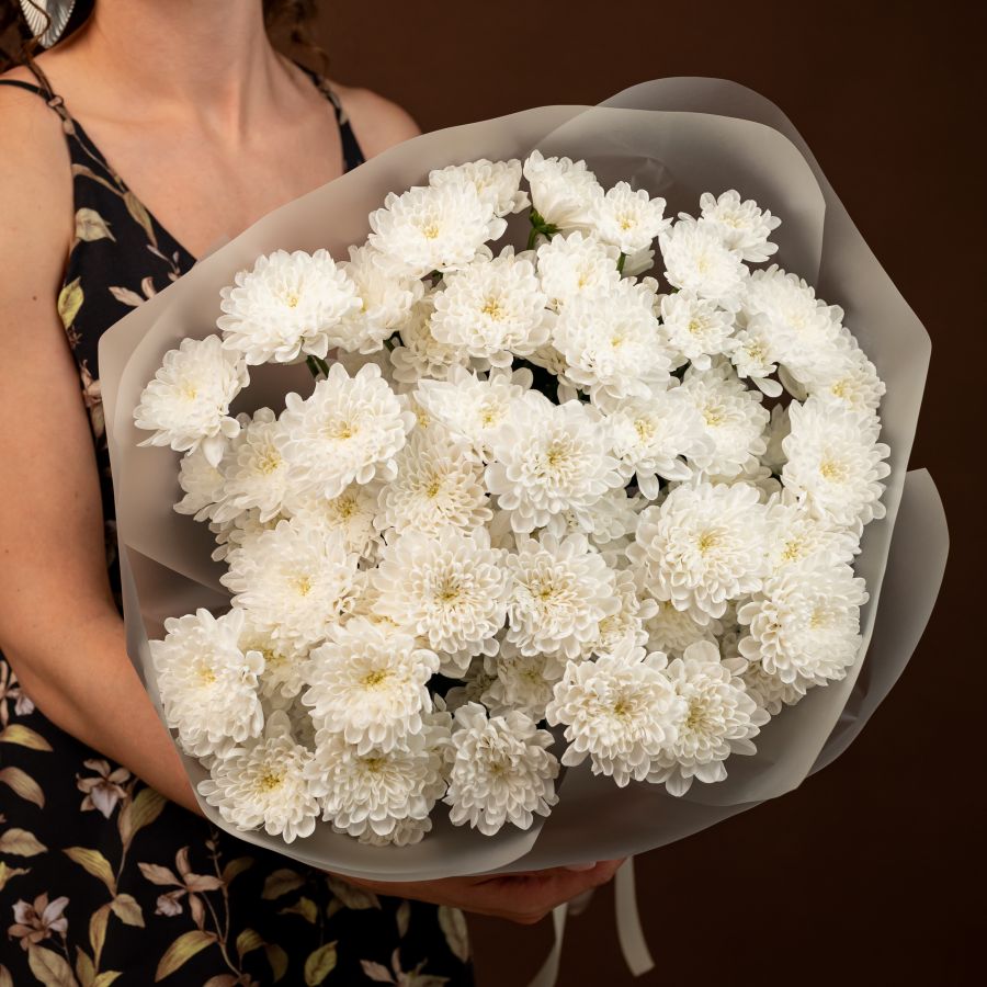 Хризантема 9 шт