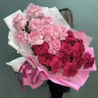 Розово-красные Французские розы