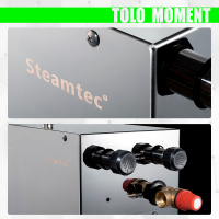 Парогенератор Steamtec TOLO MOMENT 45 - 4,5 кВт