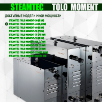 Парогенератор Steamtec TOLO MOMENT 45 - 4,5 кВт