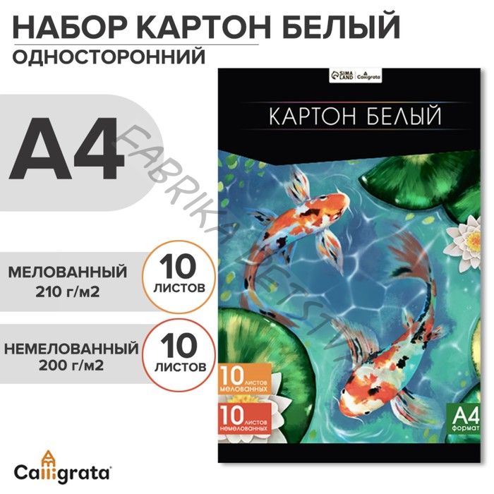 Картон белый А4, 20 листов: 10 листов мелованного плотность 200 г/м2, 10 листов немелованного плотность 200 г/м2, в папке