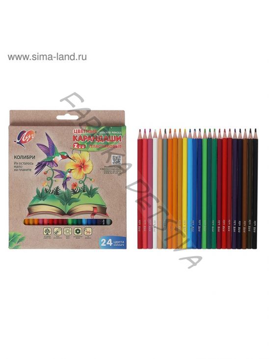 Карандаши цветные 24 ZOO, пластиковые, шестигранные