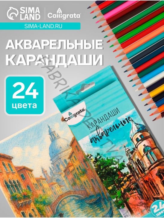 Карандаши Calligrata, цветные, акварельные, 24 цвета