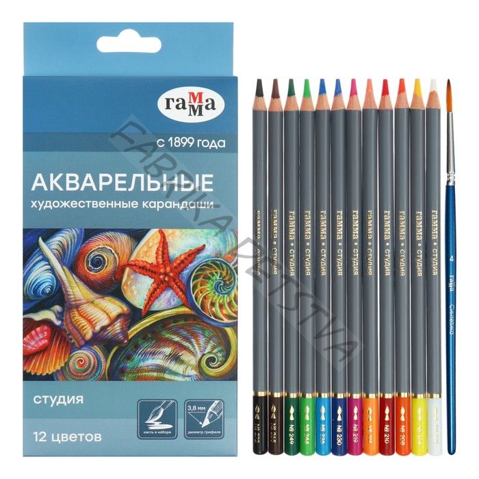 Карандаши цветные акварельные «Гамма. Студия» 12 цветов, грифель 3.8 мм, картонная коробка 110822_12