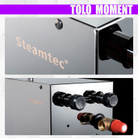 Парогенератор Steamtec TOLO MOMENT 120 - 12 кВт