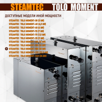 Парогенератор Steamtec TOLO MOMENT 180 - 18 кВт