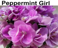 Peppermint Girl