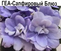 ГЕА-Сапфировый Блюз