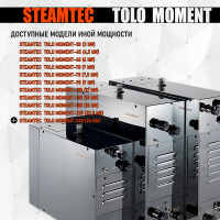 Парогенератор Steamtec TOLO MOMENT 240 - 24 кВт