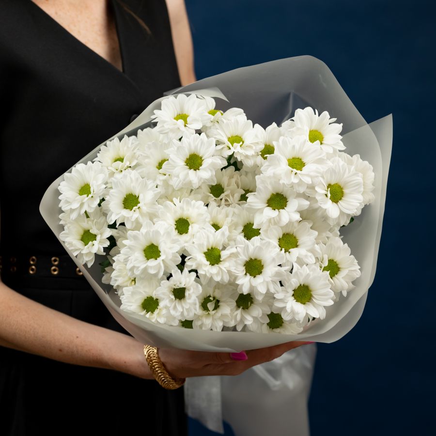 Хризантема (сорт Бакарди) в оформлении (5 шт)