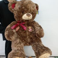 Коричневый медведь №4