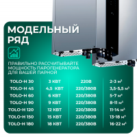 Парогенератор Steamtec TOLO H 60 - 6 кВт, 220/380В, вертикальный