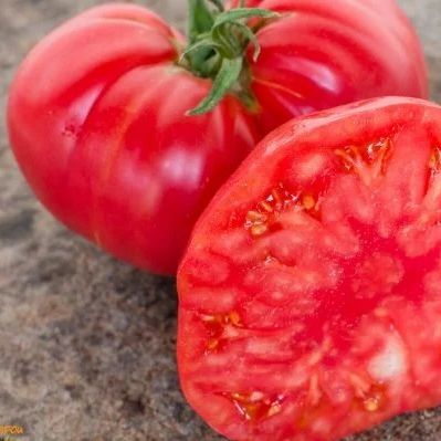 Томат Генерал Грант Ламберт, 50шт семян