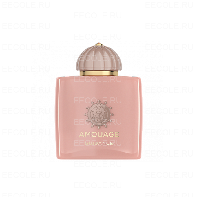 Amouage Guidance