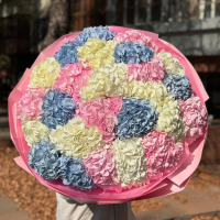 Монобукет из разноцветных Гортензий