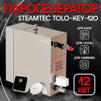 Парогенератор Steamtec TOLO KEY 120 - 12 кВт