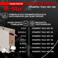 Парогенератор Steamtec TOLO KEY 120 - 12 кВт
