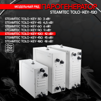 Парогенератор Steamtec TOLO KEY 120 - 12 кВт