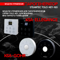 Парогенератор Steamtec TOLO KEY 120 - 12 кВт