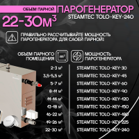 Парогенератор Steamtec TOLO KEY 240 - 24 кВт