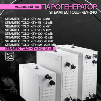 Парогенератор Steamtec TOLO KEY 240 - 24 кВт