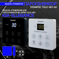 Парогенератор Steamtec TOLO KEY 60 - 6 кВт бюджетная серия