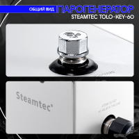 Парогенератор Steamtec TOLO KEY 60 - 6 кВт бюджетная серия