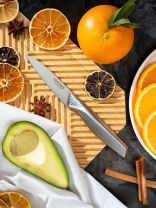 Нож кухонный Daniks, Ocean, для овощей, нержавеющая сталь, 9 см, рукоятка нержавеющая сталь, YYW-A429B-PA