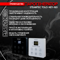 Парогенератор Steamtec TOLO KEY 120 - 12 кВт бюджетная серия