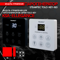 Парогенератор Steamtec TOLO KEY 120 - 12 кВт бюджетная серия