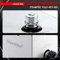 Парогенератор Steamtec TOLO KEY 120 - 12 кВт бюджетная серия