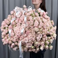 101 нежно-розовая кустовая роза