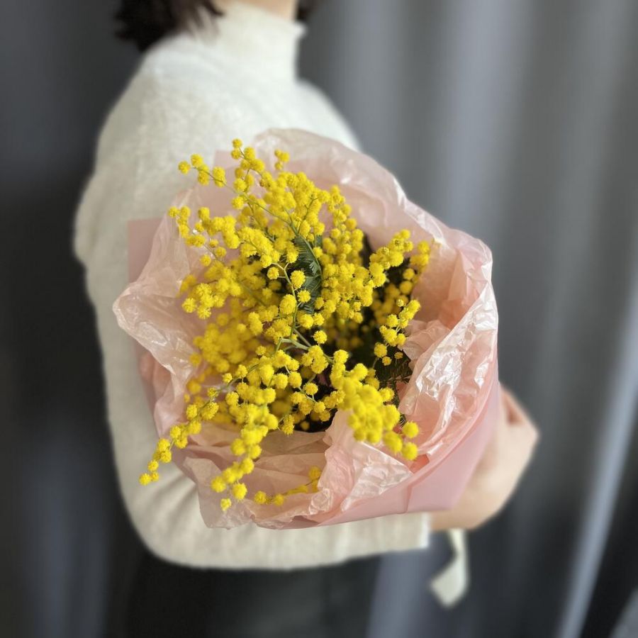 Wow мимоза mini