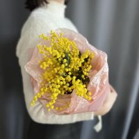 Wow мимоза mini