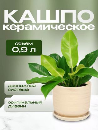 Горшок керамика, 0.9 л, 12х12 см, бежевый, Галактика №2, 008652